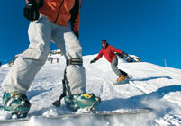 Ski Amade